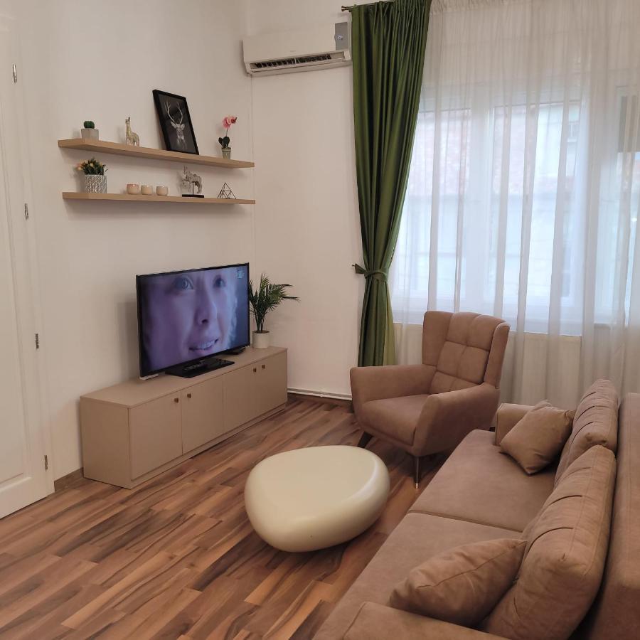 B8 - Spacious, Charming Apartment In Central Sibiu Exteriér fotografie