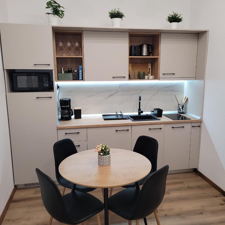 B8 - Spacious, Charming Apartment In Central Sibiu Exteriér fotografie