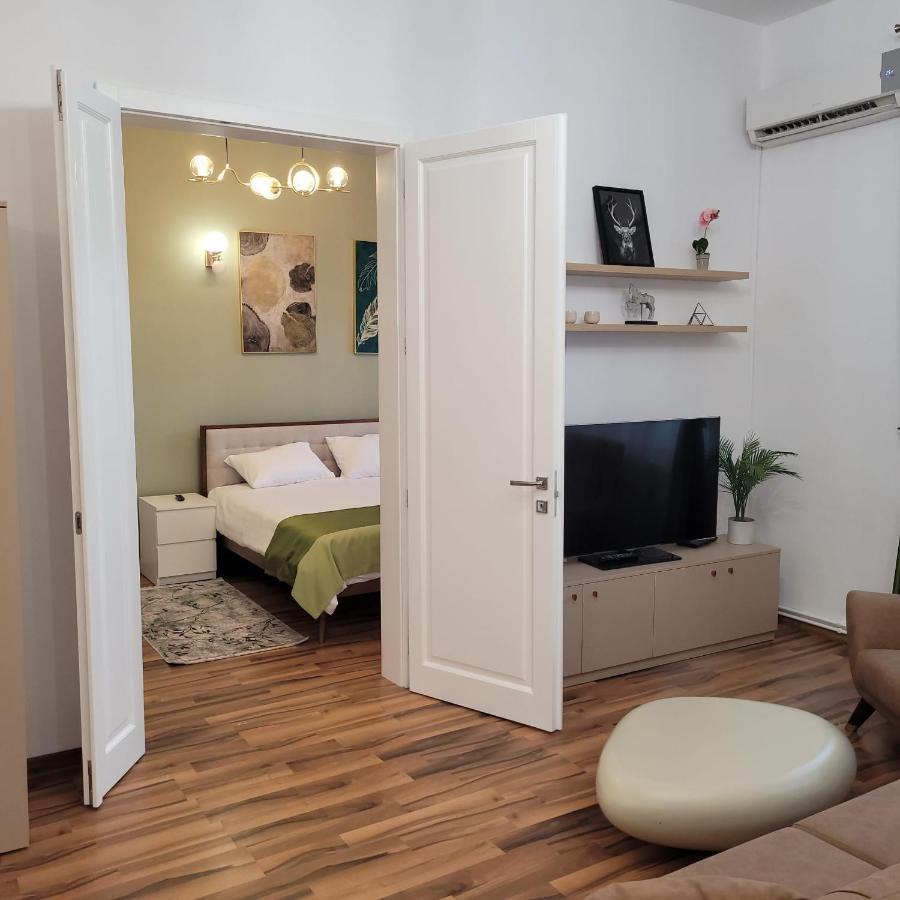 B8 - Spacious, Charming Apartment In Central Sibiu Exteriér fotografie